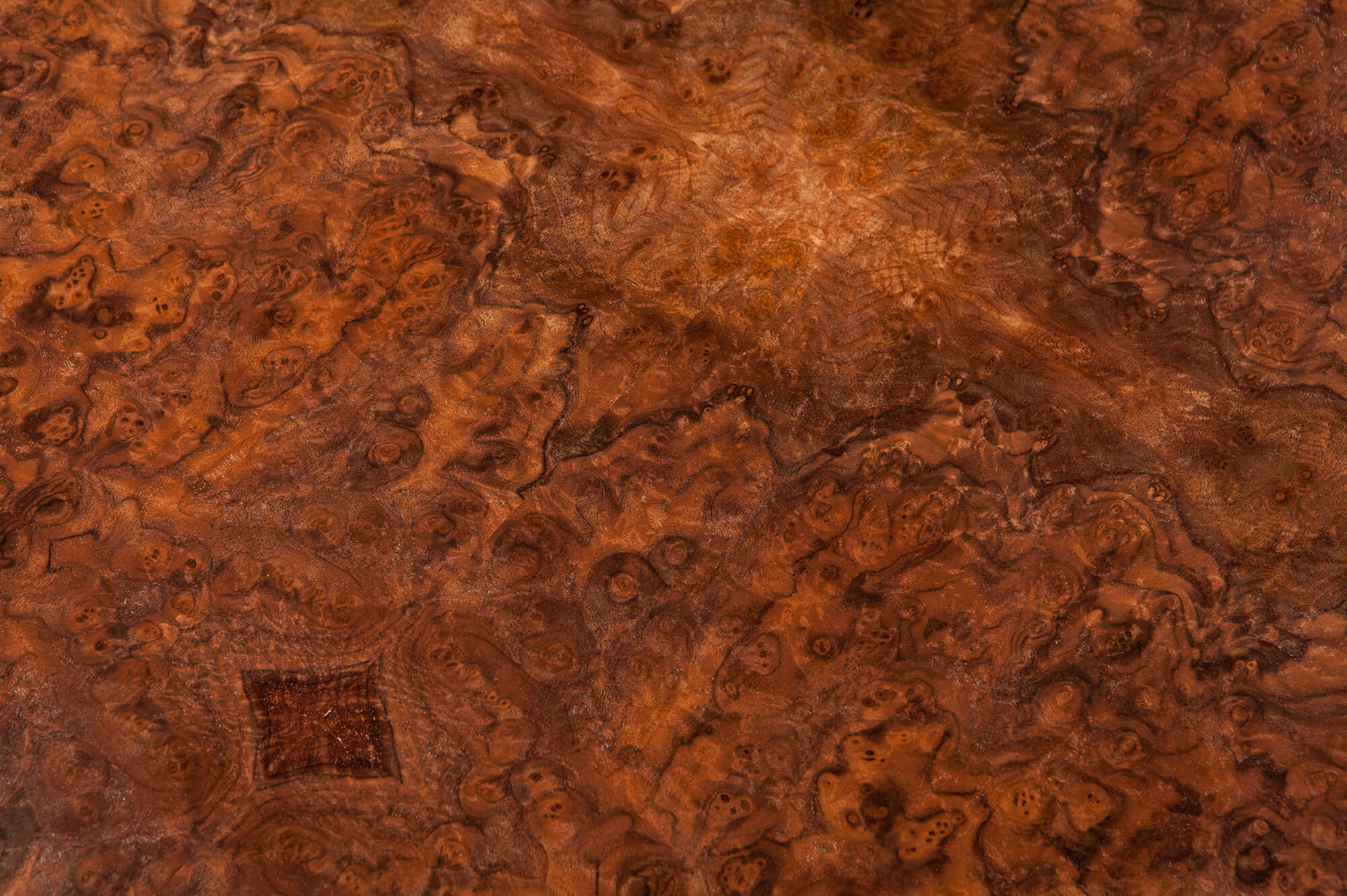 Detail of luxury burr veneer desk, hand-made by Splinterworks.