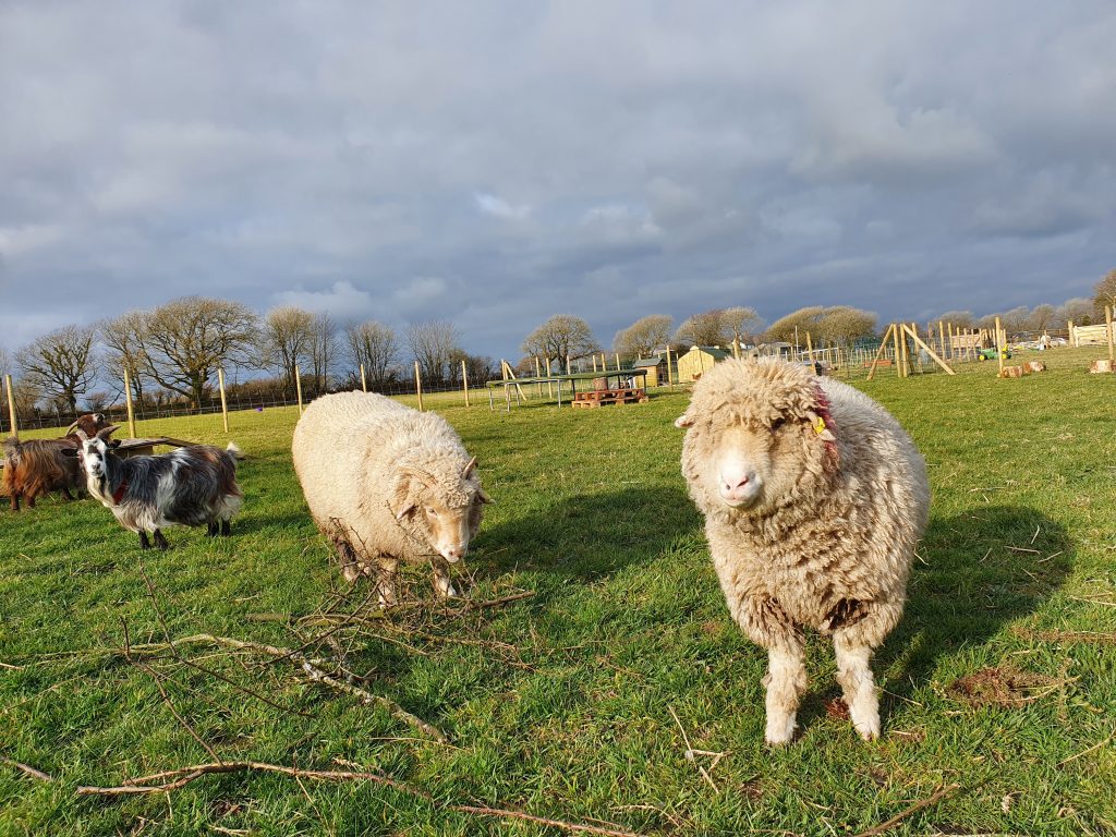 20210322_162919-1024x768