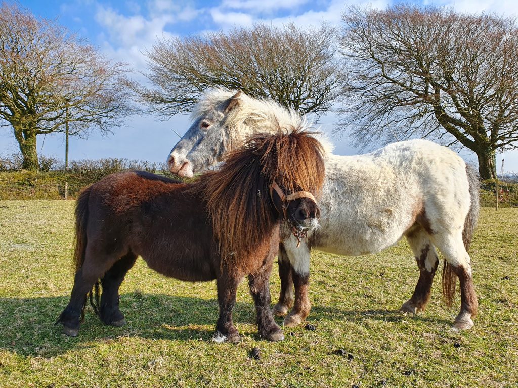 20210417_170617-1-1024x768