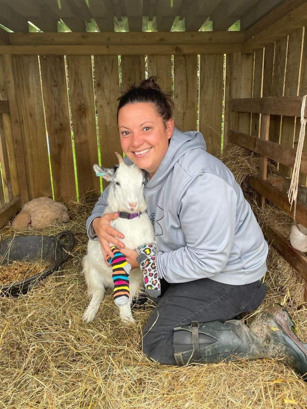 Holli-and-odd-sock-goat-1-1024x1365